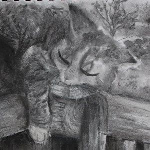 Meet your Posher, Viola